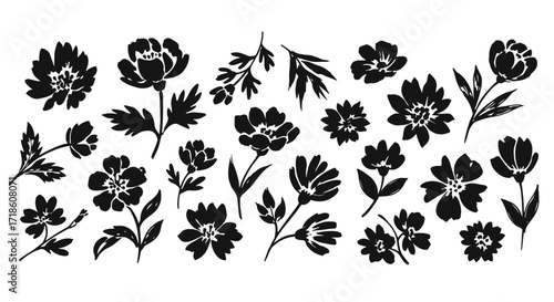 Elegant black floral silhouette collection offers stunning botanical designs for modern graphic projects and naturalistic branding.