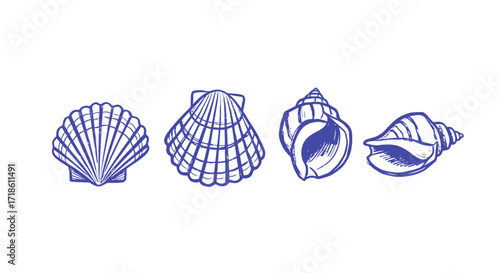 Delicate sketched seashells in calming blue hues evoke coastal tranquility and summer vibes, perfect for nautical designs and serene creative projects