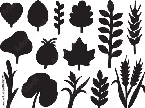 A fruits plant shape vibrant color palette
