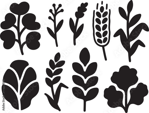  A flower and crops shapes with vibrant color palette