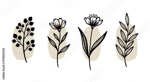 Elegant botanical line art with neutral backgrounds for modern designs and stylish invitations creates a serene and sophisticated aesthetic