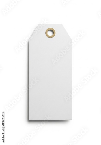 Isolated Textured White Tag with Reinforced Hole on Clean White Background