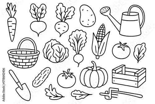 Vegetable Harvest Doodles. Vegetable garden harvest. Hand-drawn doodle illustration vegetable garden harvest carrot, beet, radish,
