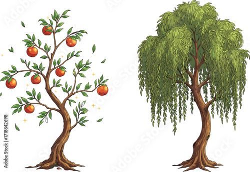 Fruit tree with orange red fruits, magical sparkle leaves, willow tree with drooping branches, nature contrast, whimsical fantasy illustration, serene landscape