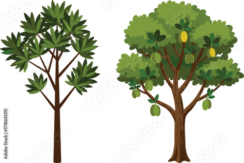 Fruit bearing tree and non fruit tree comparison, agriculture concept, tropical farming, plant growth stages, botanical illustration, nature education, horticulture study