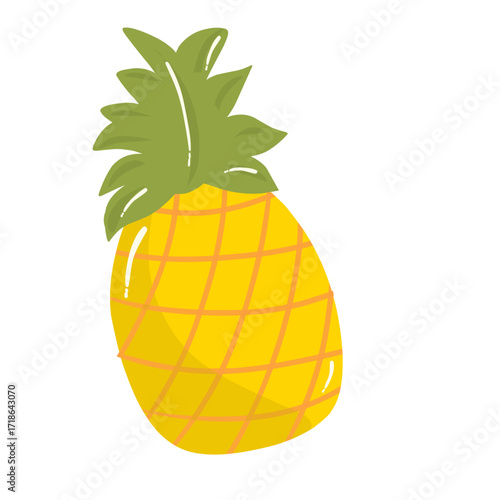 vector illustration of pineapple