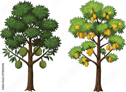Durian tree with spiky fruits, starfruit tree with ripe yellow fruits, tropical agriculture, exotic fruits, botanical illustration, lush foliage, nature scene