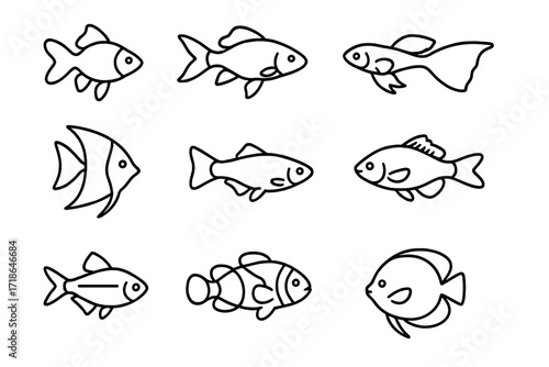 Fish Breeds Icons. Fish breeds. Line icon set of fish breeds: goldfish, koi, betta, guppy, angelfish, molly, platy, cichlid, tetra