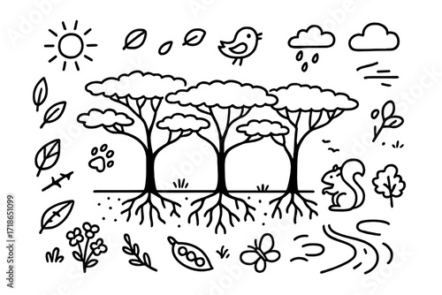 Acacia Ecosystem Doodle. Hand-drawn doodle illustration Acacia forest ecosystem multiple trees, bird icon, sun, soil layers, root