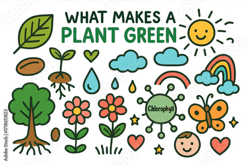 Plant Growth Doodles. Colorful Hand-drawn doodle Children illustration What Makes a Plant Green [leaf, sprout, chlorophyll