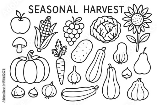 Harvest Doodle Icons. Seasonal harvest. Hand-drawn doodle illustration seasonal harvest pumpkin, corn, apple, grapes, cabbage,