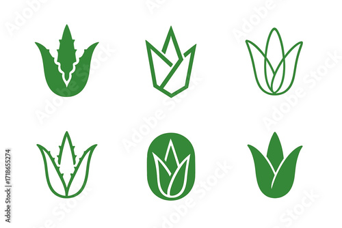 Aloe Vera Logo Variations. Skincare. Set Logo of Skcare: Aloe vera leaf. harmonious logo variations of the same emblematic concept, each with different