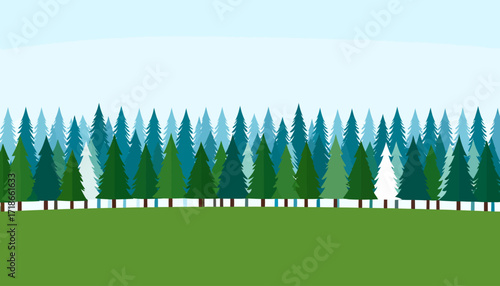 Seamless Forest Landscape with Evergreen Trees and Green Field.