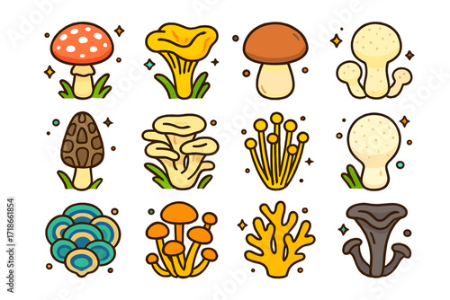 Colorful Isometric Mushroom Icons. Colorful isometric vector icons set of wild mushrooms: fly agaric, chanterelle, porcini, morel, shaggy ink cap, oyster