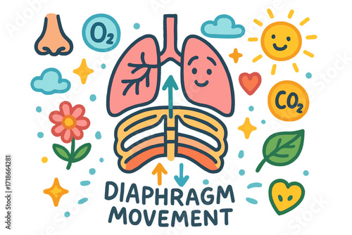 Breathing Process Illustrated. Colorful Hand-drawn doodle Children illustration Diaphragm Movement diaphragm, ribcage, lungs, arrows, oxygen bubble, carbon