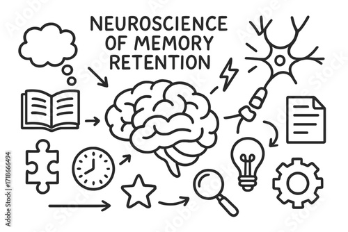 Memory Retention Illustrations. Hand-drawn doodle illustration Neuroscience of memory retention [brain, neuron, synapse, spark, light bulb, book, document,