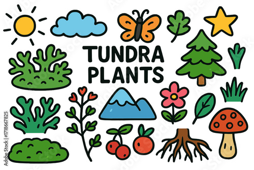 Tundra Doodle Illustration. Colorful Hand-drawn doodle Children illustration Tundra Plants [moss, lichen, dwarf shrub, flower, pine tree, grass,