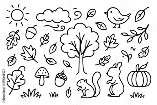 Autumn Doodle Collection. Hand-drawn doodle illustration Autumn leaf fall [falling leaves, oak leaf, maple leaf, tree, branch, acorn, pinecone, mushroom,