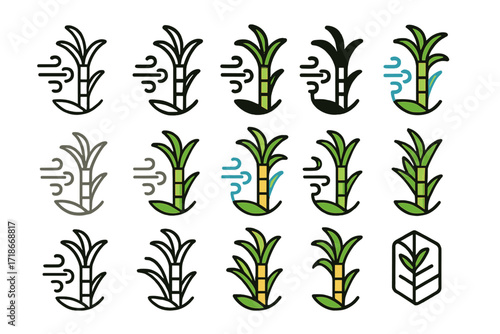 Wind-resistant Sugarcane Logos. Set Logo of Climate-resistant crops: Wind-resistant sugarcane. Logo set in vector style, emblematic variations. line, bold