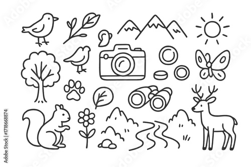 Nature Photography Doodles. Hand-drawn doodle illustration Nature and wildlife photography [camera, tripod, bird, tree, paw print, leaf, mountain, sun,