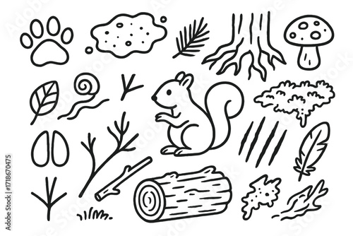 Forest Tracks Doodle. Hand-drawn doodle illustration [Animal tracks in the forest] [paw print, hoof print, bird footprint, mud patch, tree root, pine needle,