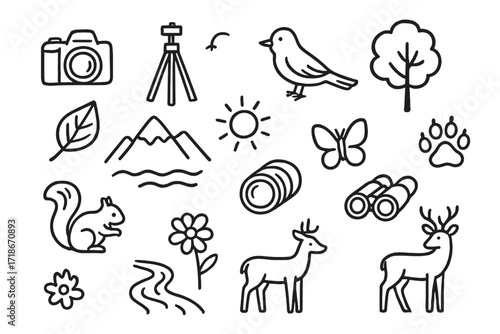 Nature Photography Doodles. Hand-drawn doodle illustration Nature and wildlife photography [camera, tripod, bird, tree, paw print, leaf, mountain, sun,