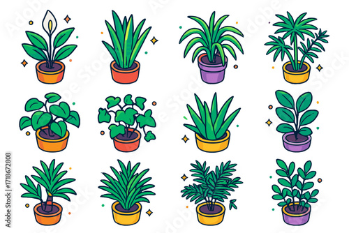 Air-Purifying Plant Icons. Colorful isometric vector icons set of Air-Purifying Indoor Plants: peace lily, snake plant, spider plant, bamboo palm, pothos,