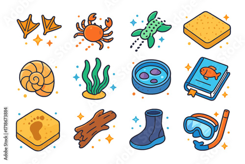 Marine Creature Icons. Colorful isometric vector icons set of Tracking Marine and Shoreline Creatures: seagull footprints, crab tracks, turtle flipper trail,