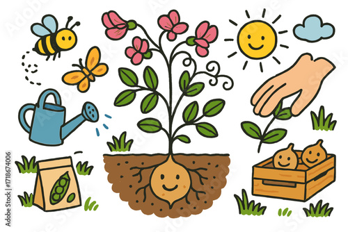 ??????????? ??????????? ???????. Colorful Hand-drawn doodle Children illustration Earthnut Pea plant, pink flowers, tendril, underground tuber, bee, watering