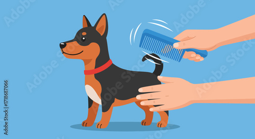 Flat-lay illustration of hands brushing a happy small dog's fur with a blue comb against a light blue background, cheerful style.
