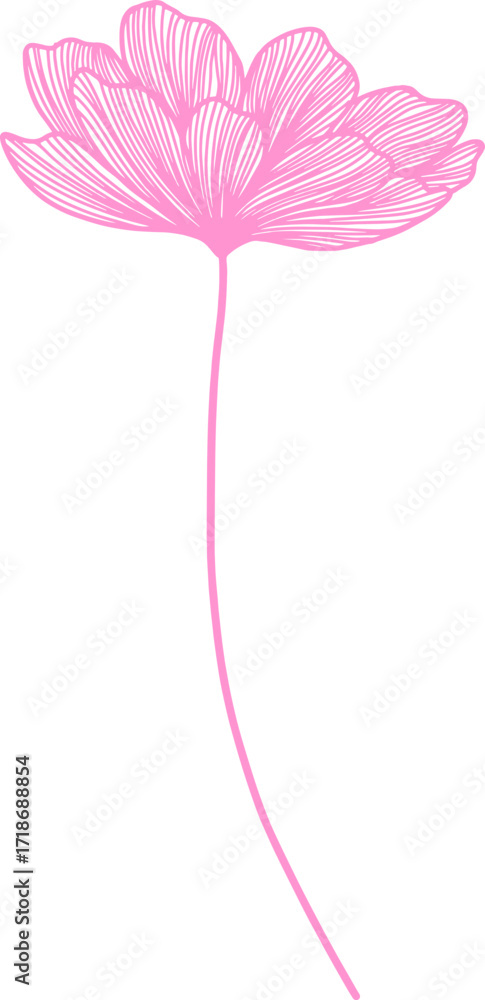 Obraz premium Pink Peony Line Art