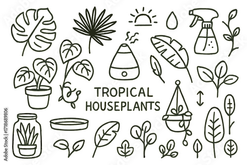 Tropical Plant Doodles. Hand-drawn doodle illustration [Tropical houseplants] monstera leaf, palm, philodendron, humidifier, mist spray, banana leaf, sunbeam,