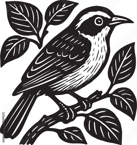 Bananaquit perched on branch linocut engraving bird black and white tropical illustration woodblock vector style