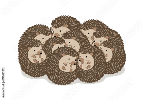 A cluster of nine hedgehogs huddle together for warmth and comfort