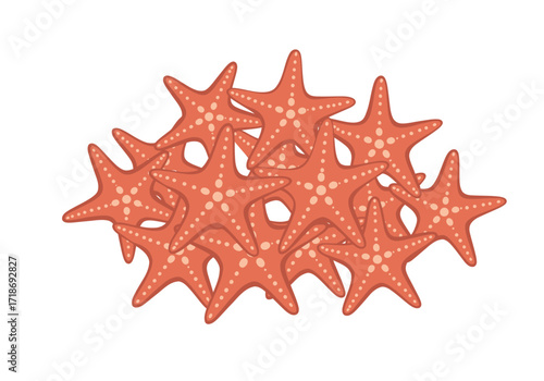 A cluster of salmoncolored starfish with beige spots against a white background