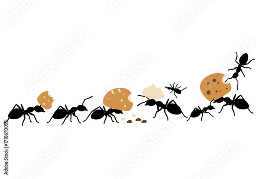 Ants carry various food items Some ants carry crumbs or bite off chunks to carry