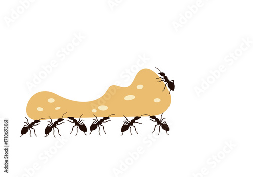 Ants carry spotted food