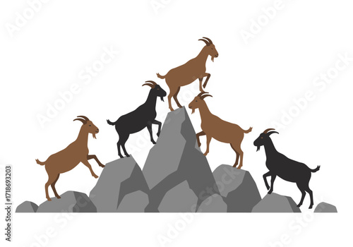 Five goats two black  three brown climb gray rocks against a white background