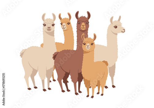 Five llamas varied in color stand together against a white background
