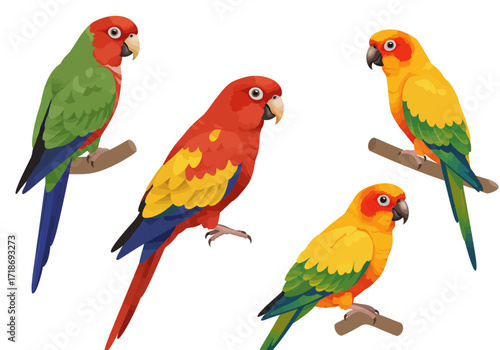 Four colorful parrots are illustrated two perched on branches one is flying