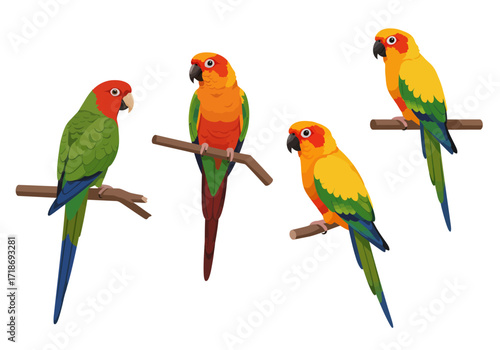 Four colorful parrots perch on branches displaying vibrant plumage