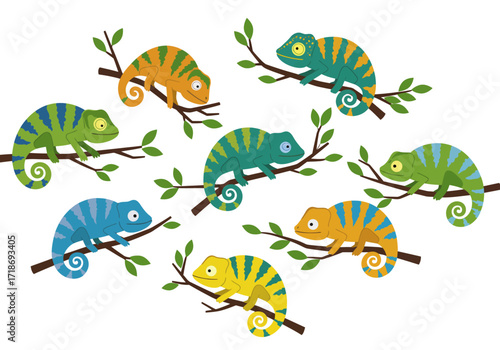 Multiple chameleons sit on branches with leaves