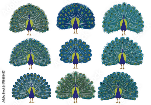 Nine stylized peacocks with spread plumage in a grid varying in color shades and patterns