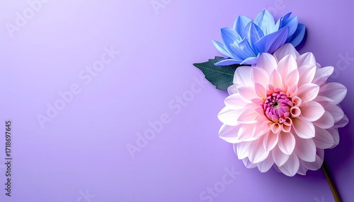 Pastel flowers on a purple background