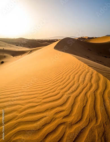Golden desert dune at sunrise