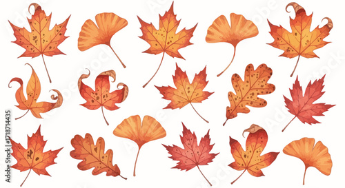 Watercolor clip art set of autumn leaves including maple, oak and ginkgo with burnt orange to crimson colors