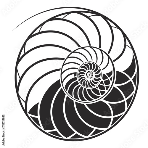 Black and White Nautilus Shell with Nested Spirals