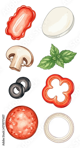 Watercolor pizza ingredients tomato, mozzarella, mushroom, basil, olives, bell pepper, pepperoni, and onion ring