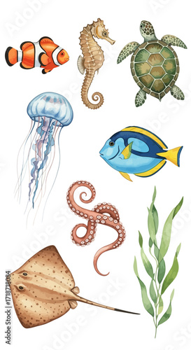 Watercolor Marine Life A Colorful 8-Piece Clip Art Set Featuring Ocean Creatures for Design