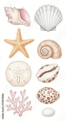 Watercolor Clipart Collection Eight Coastal Treasures - Seashells, Starfish, and Coral Reef Elements